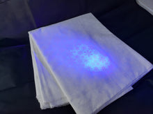 Load image into Gallery viewer, Black Light Flashlight