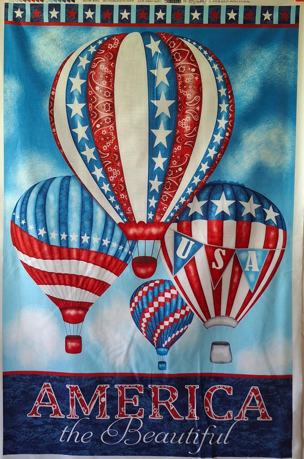 America Home Of the Brave Panel